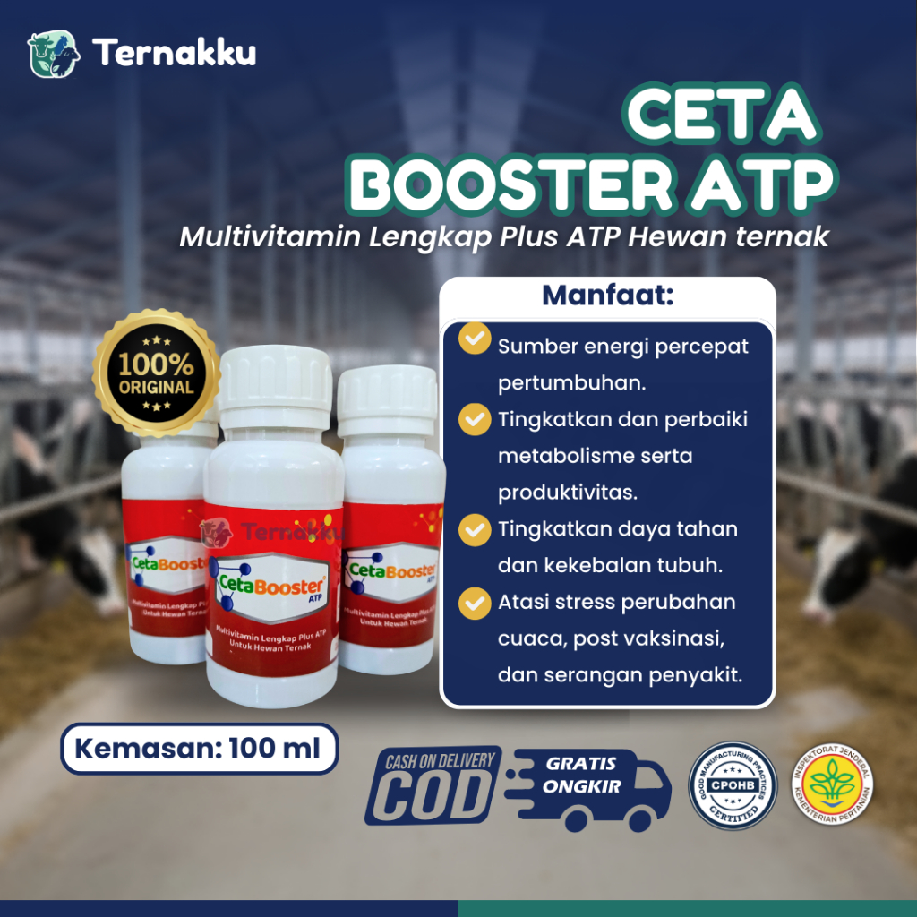 CETA Booster ATP 100 mL – Multivitamin Plus ATP Ternak