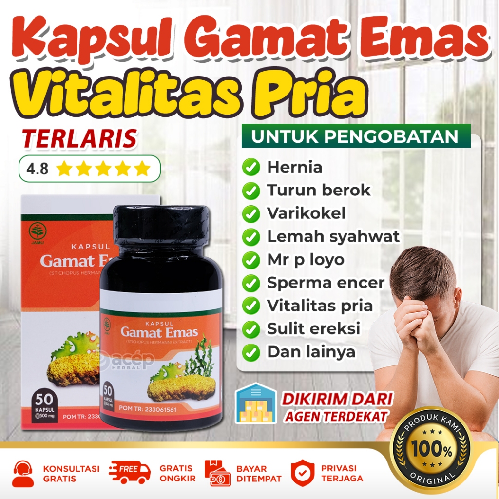 Obat Hernia Turun Berok Lemah Syahwat Mr P Loyo Nyeri Buah Zakar Bengkak Kesuburan Gamat Emas Kapsul