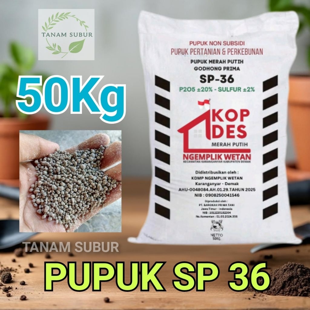 PUPUK SP 36 50KG | PUPUK SP 36 | PUPUK SP TSP SAPRODAP | PUPUK ORGANIK | PUPUK BERKUALITAS | PUPUK M