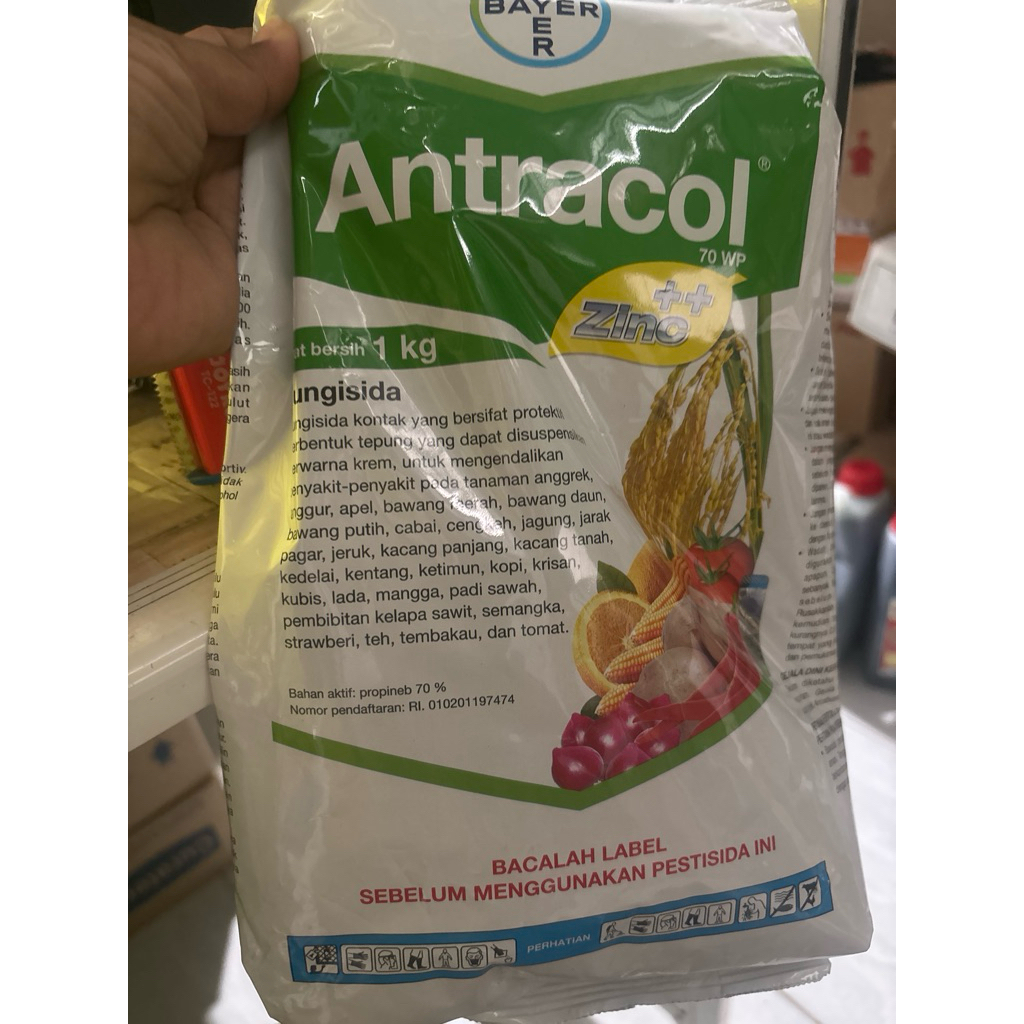 antracol1kg original