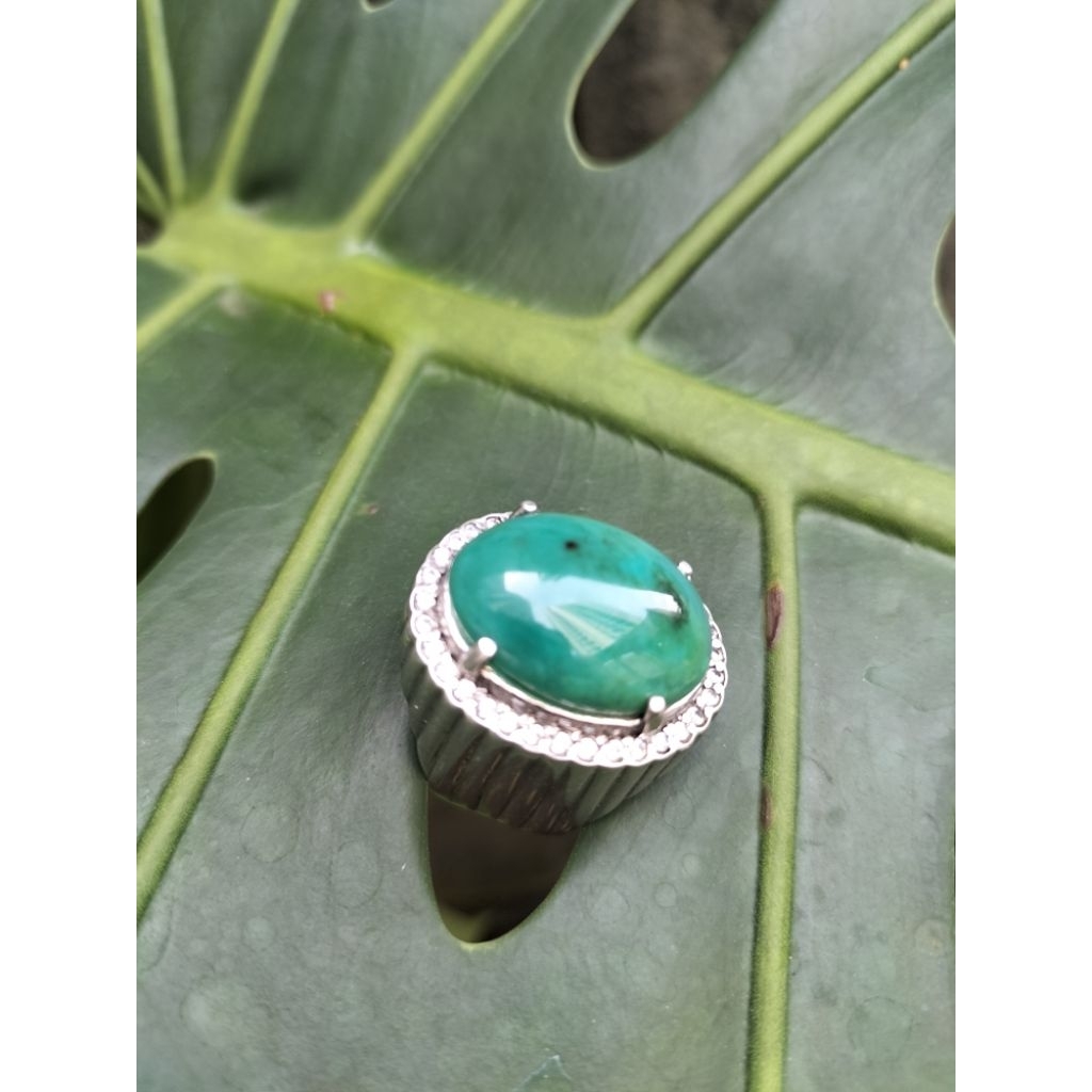 NATURAL BACAN PALAMEA