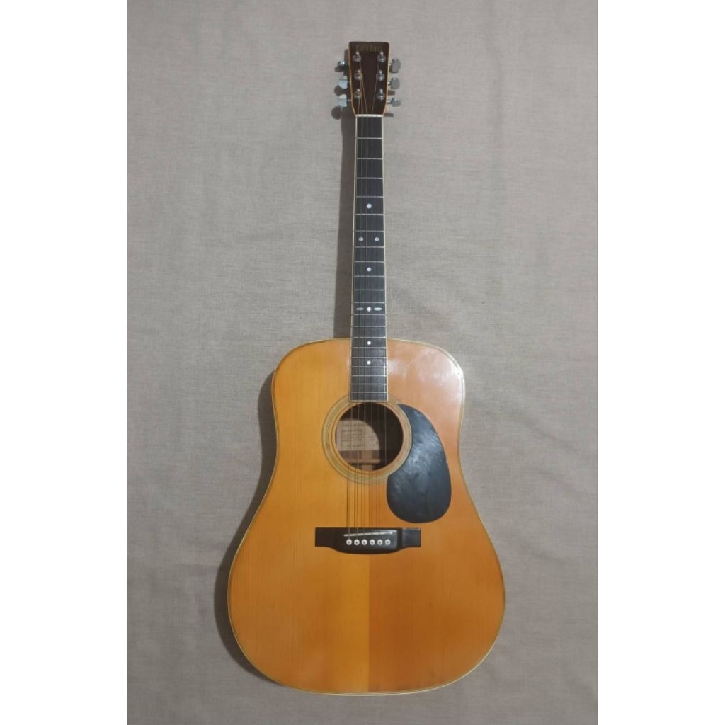 Tokai Acoustic Guitar Cat’s Eyes CE-250