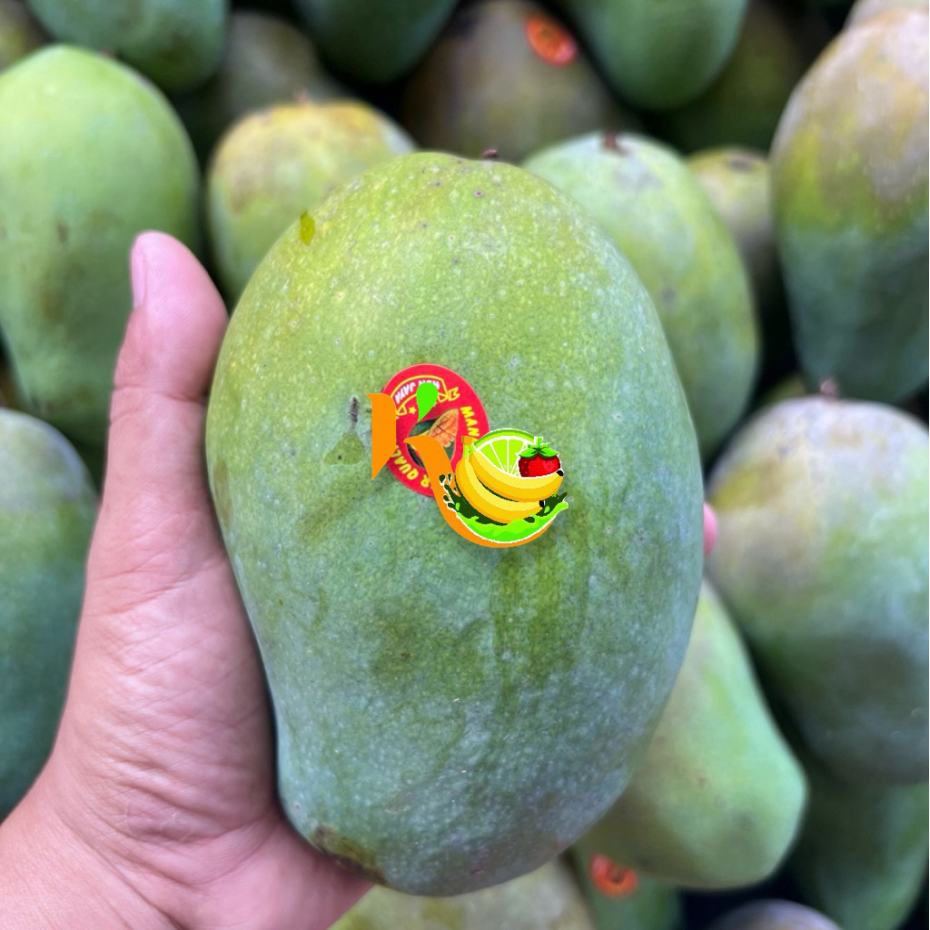 Mangga Harum Manis Super