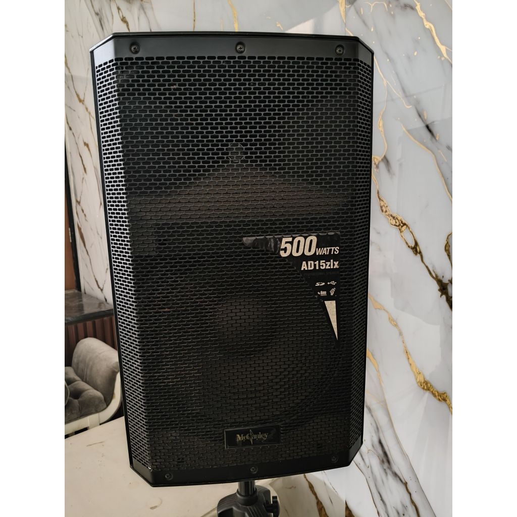 Speaker McCauley Denmark 500 watt x 2