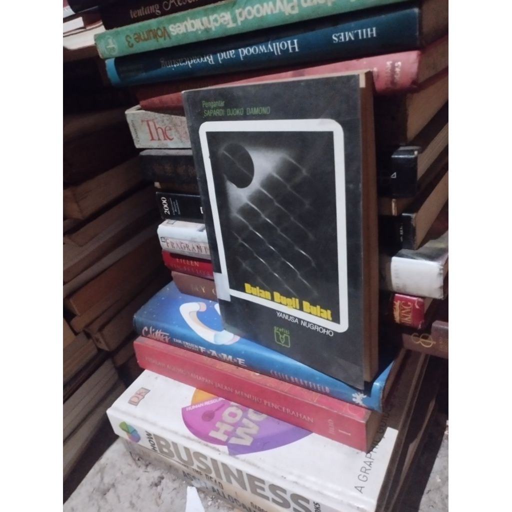 bulan bugil bulat yanusa nugroho