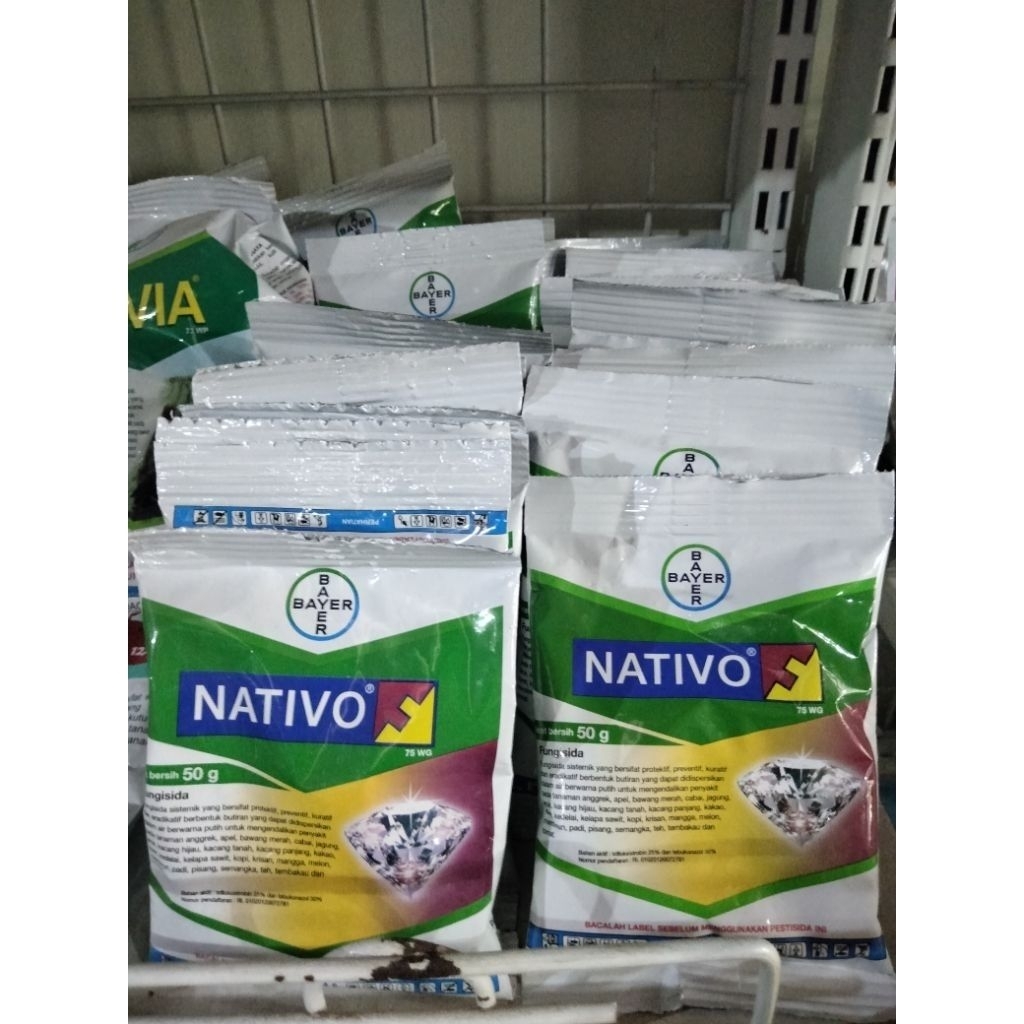 Nativo 75 WG Fungisida