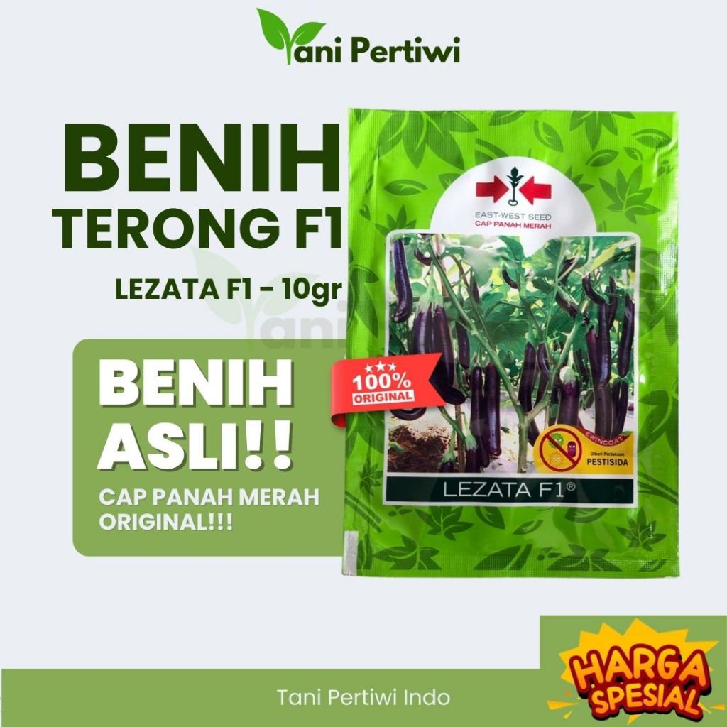 Benih Terong Ungu LEZATA F1