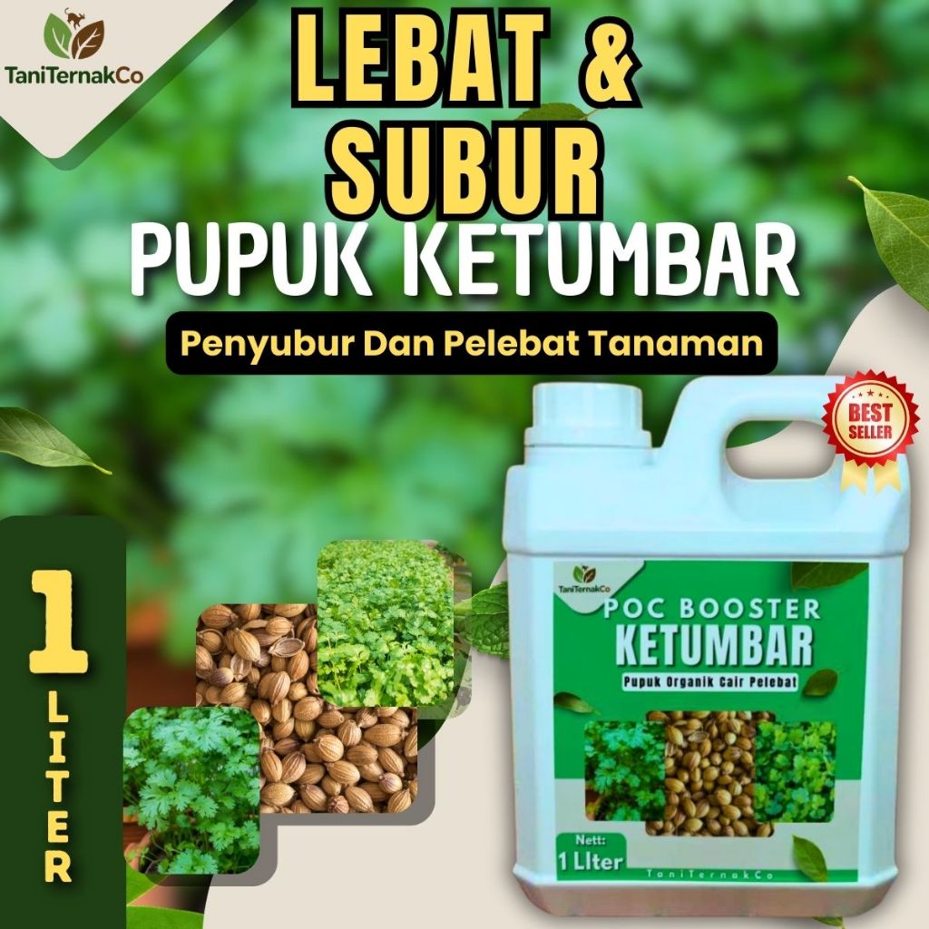Pupuk Ketumbar Cair Penyubur Daun Lebat Hijau Segar Penguat Akar Perangsang Pertumbuhan Cepat