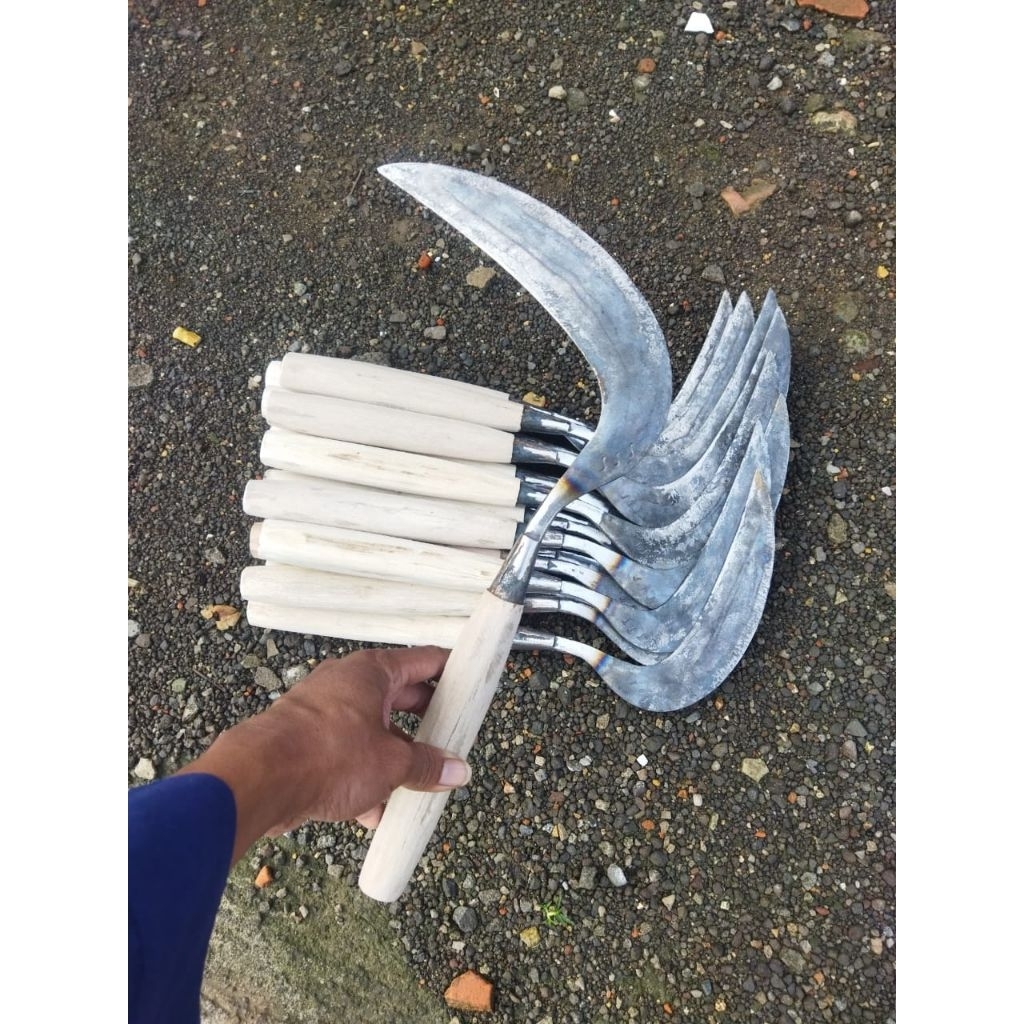 arit rumput baja ISEN asli produk Madura