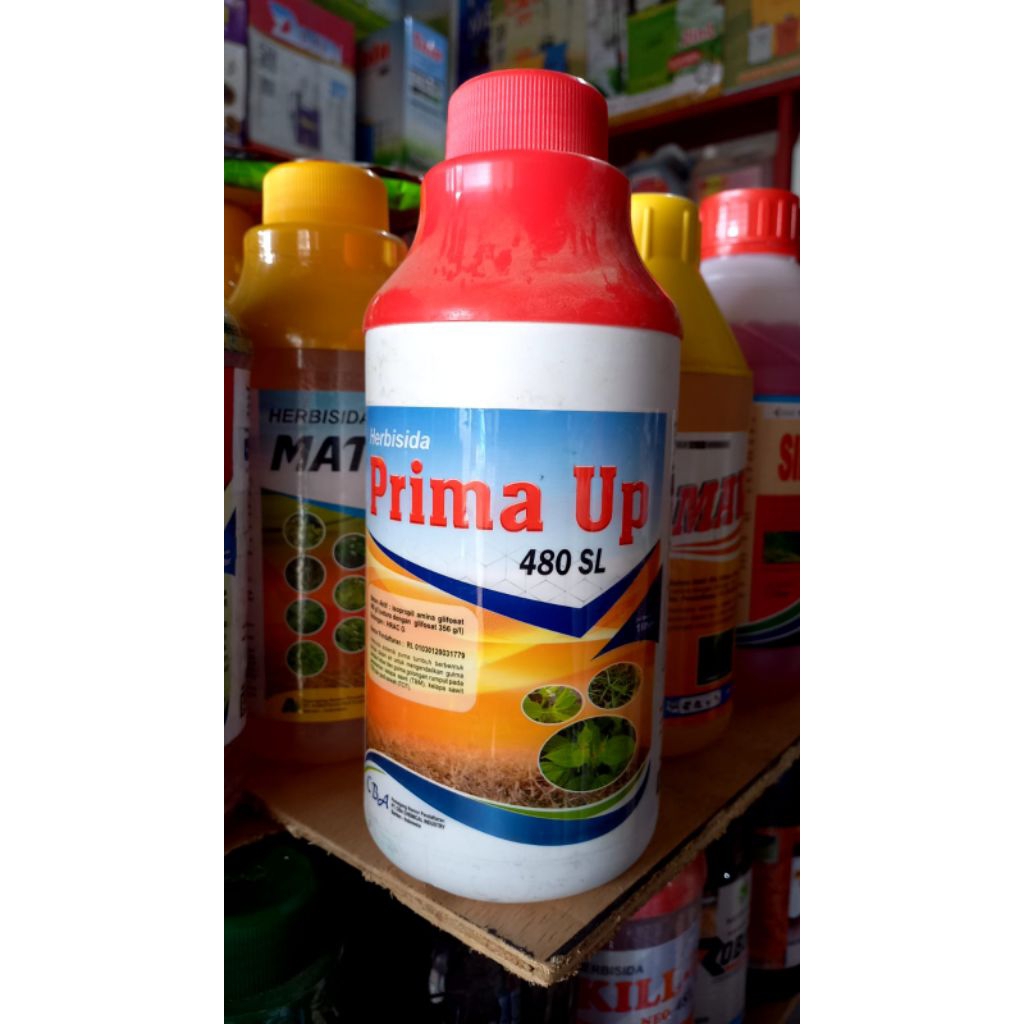 prima up 480 sl herbida sistemix/herbisida alang alang/racun rumput