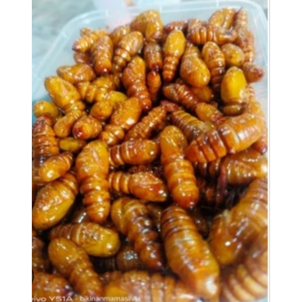 Entung jati Goreng Wonogiri,sangat lezat di temani nasi dan sambal,40 gram