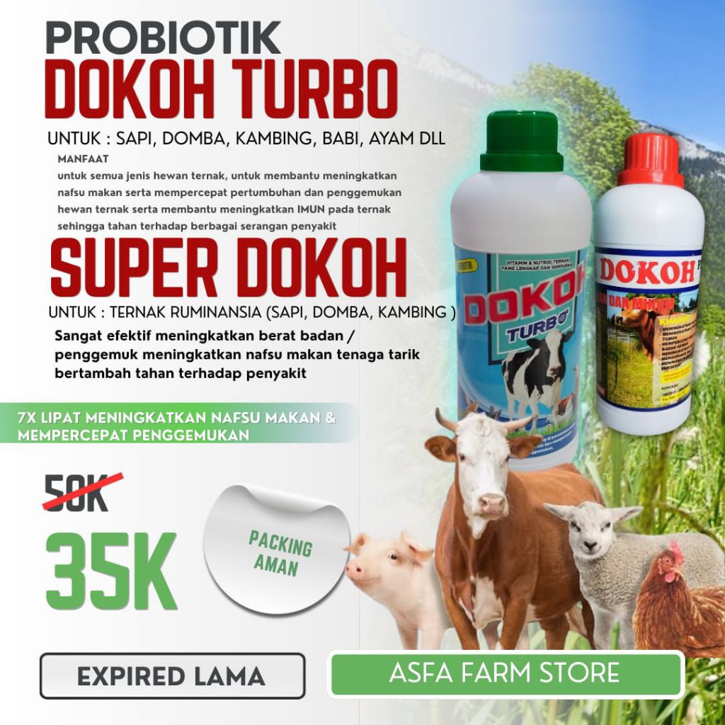 Super Dokoh Jamu Sapi Penambah Nafsu Makan Dan Penggemukan