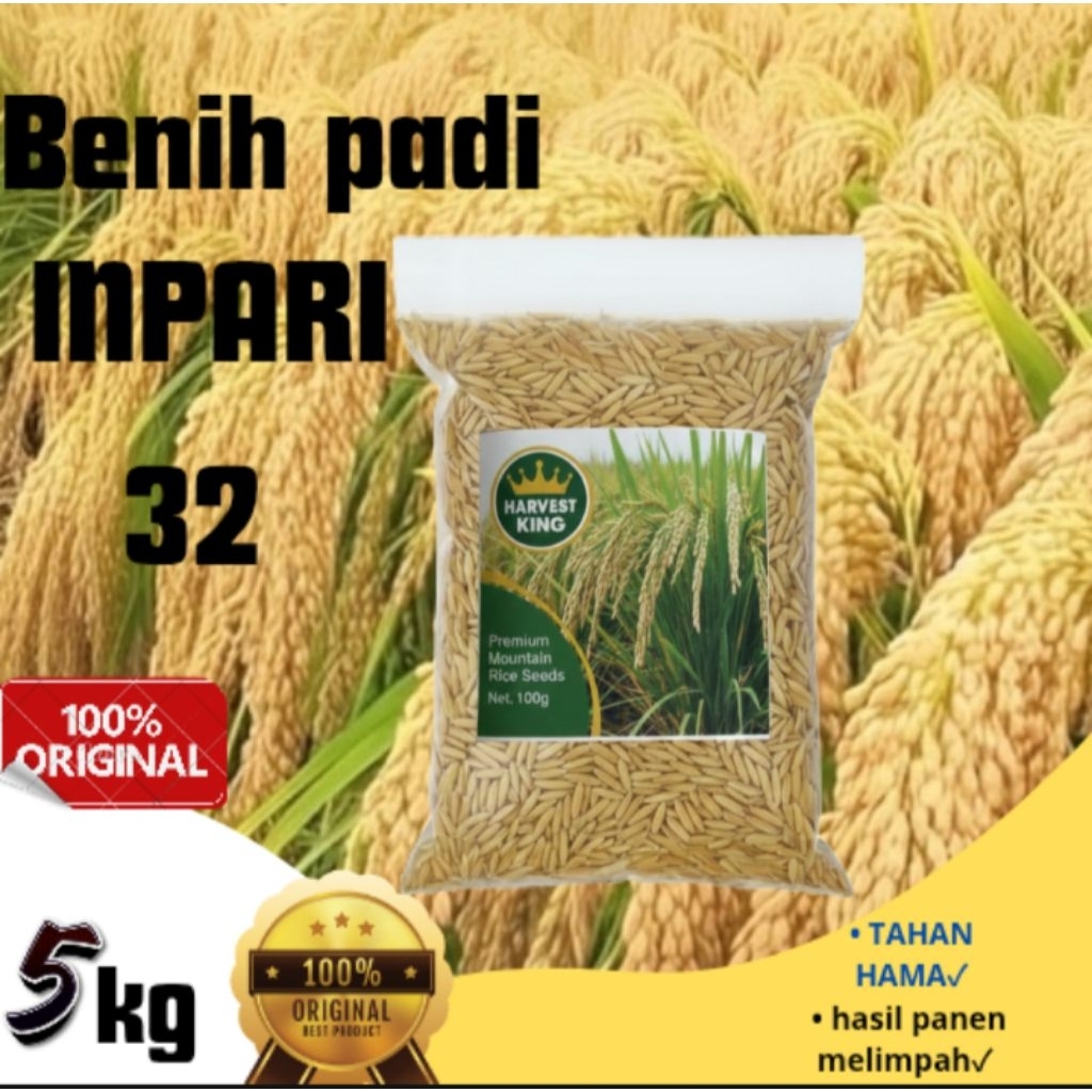 benih padi inpari 32 kualitas premium super jumbo