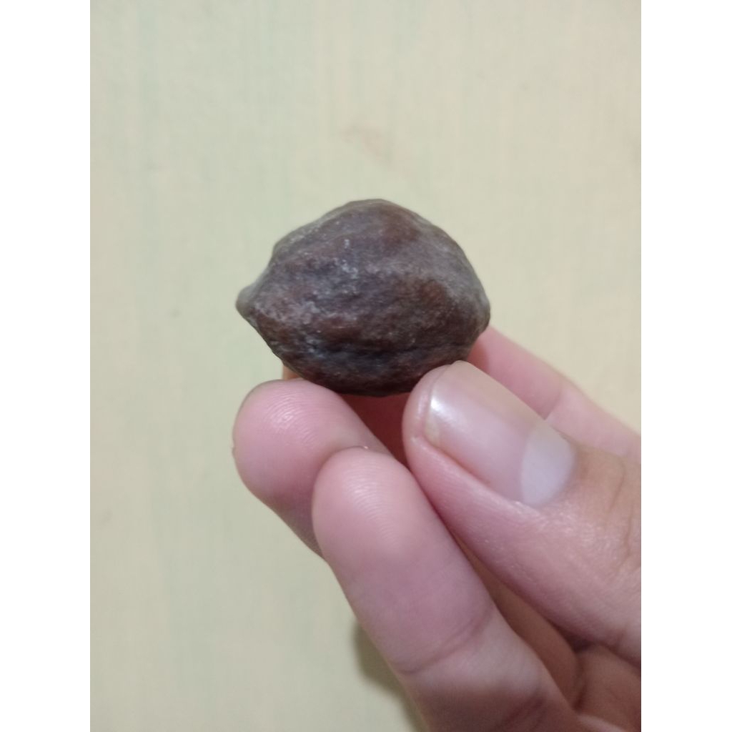 Muncang Adu Anak MJ Promo Murmer