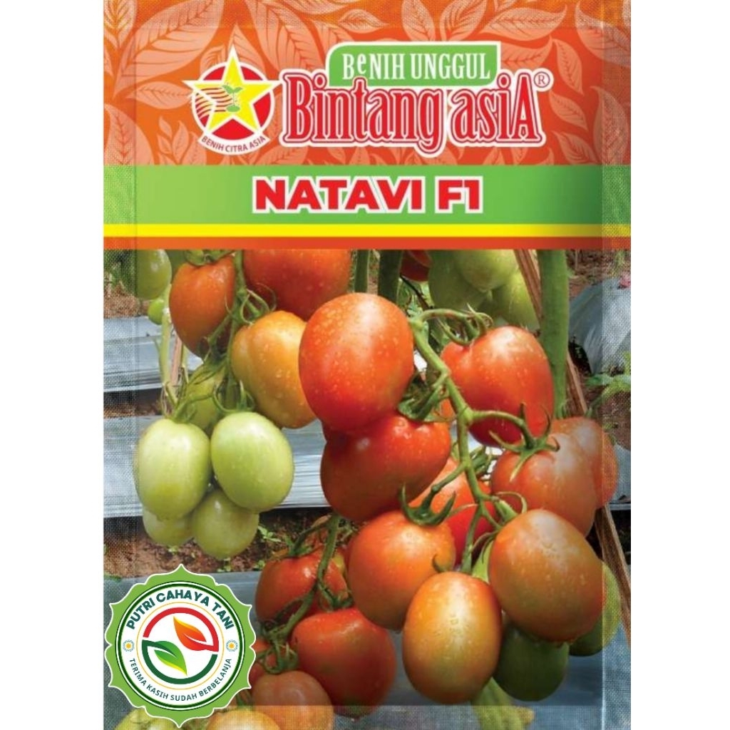 Benih Tomat Besar NATAVI F1 10 Gram Bintang Asia