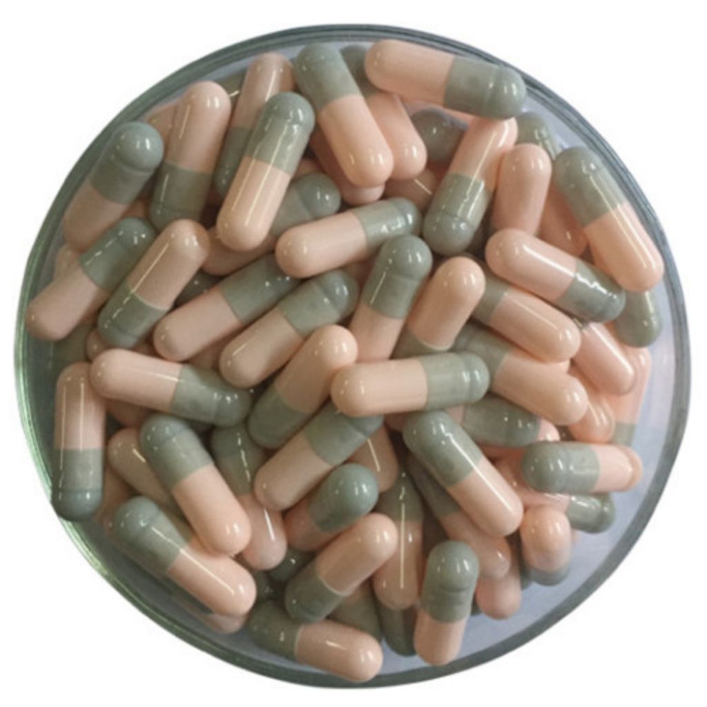 kapsul kosong kapsul kecil untuk kucing atau hewan peliharan