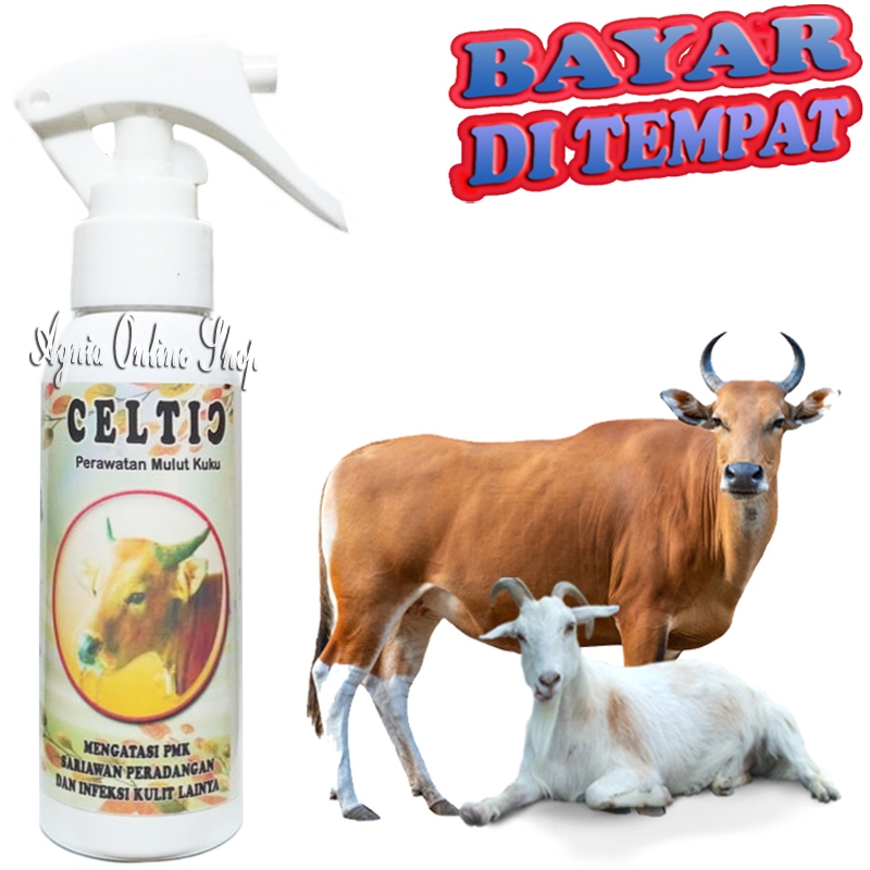 Obat Sariawan Sapi Kambing Kuda CELTIC Spray Anti PMK ORF Peradangan