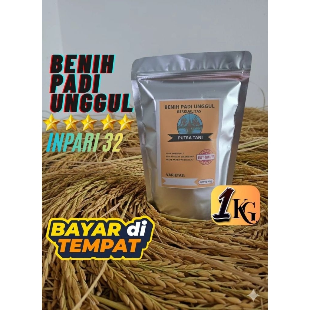 BIBIT PADI INFARI 32 BENIH PADI BERKUALITAS UNGGUL (KEMASAN 1KG)