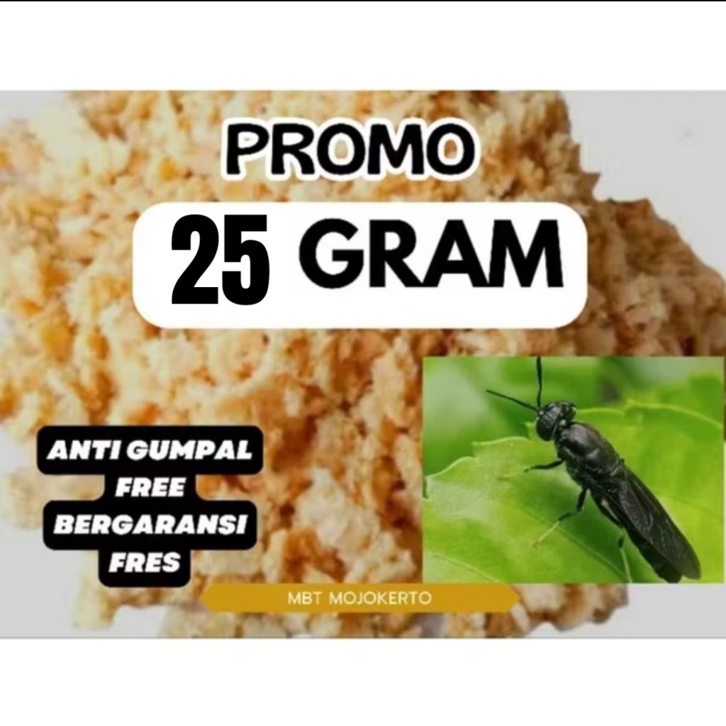 TELUR MAGOT BSF 25 GR TER MURAH BIG PROMO