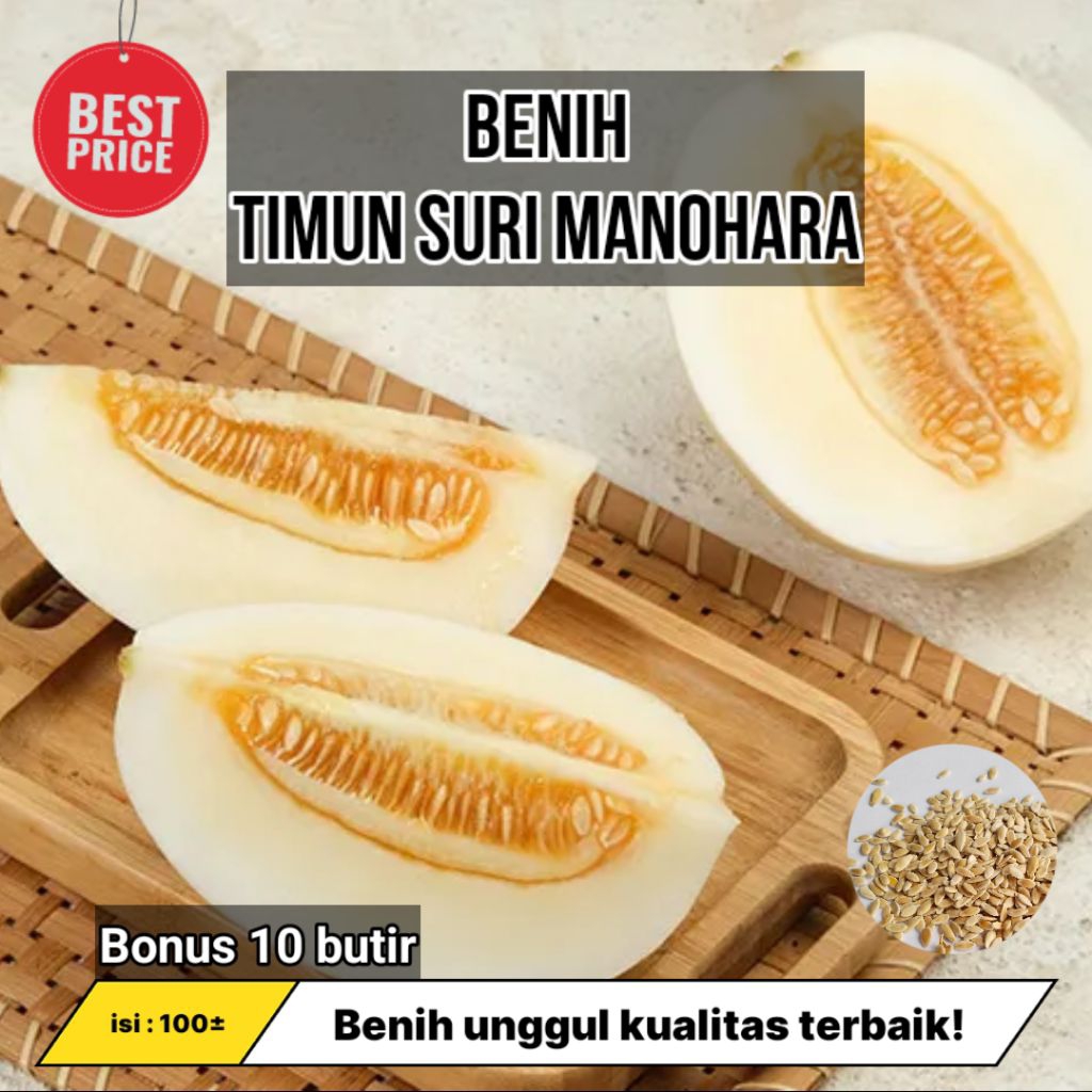 Benih Timun Suri Manohara isi : ±100