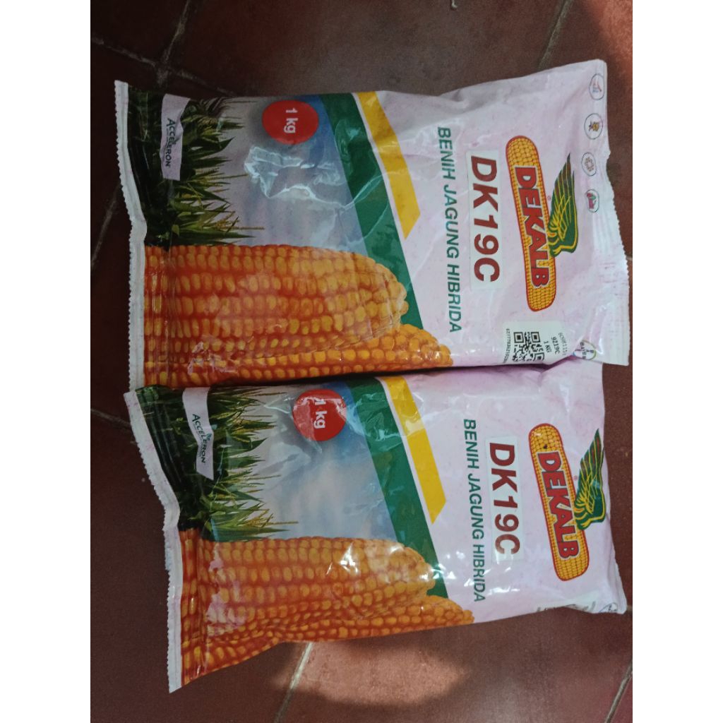 Benih Jagung Hibrida DEKALB 19C / DK CANTIK Kemasan 1kg