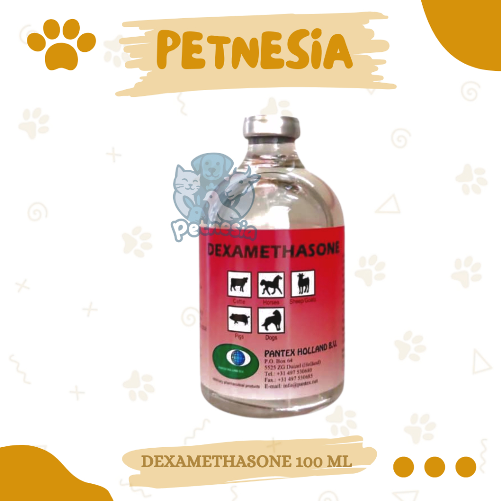 DEXAMETHASONE 100 ML PANTEX  HOLLAND - Antibiotik Hewan Anti Radang Anti Inflamasi