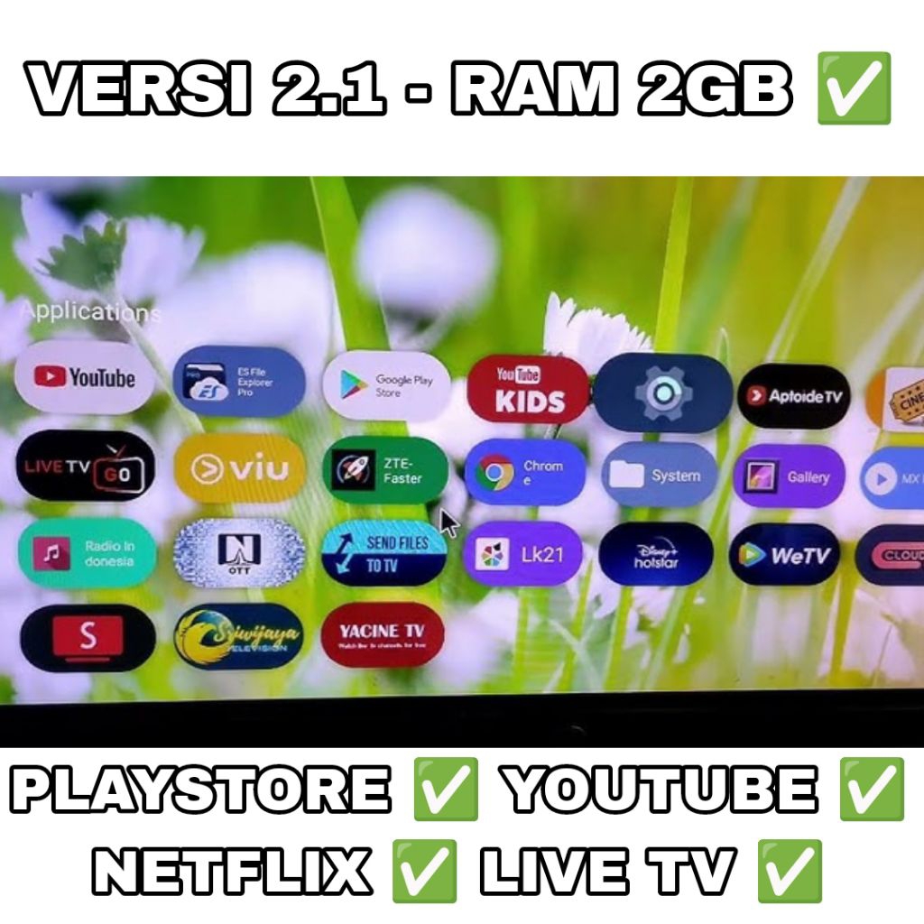 SET TOP BOX ANDROID TV STB ZTE ZXV10 B860H Versi 1 Dan Versi 2.1 ORIGINAL UNLOCK