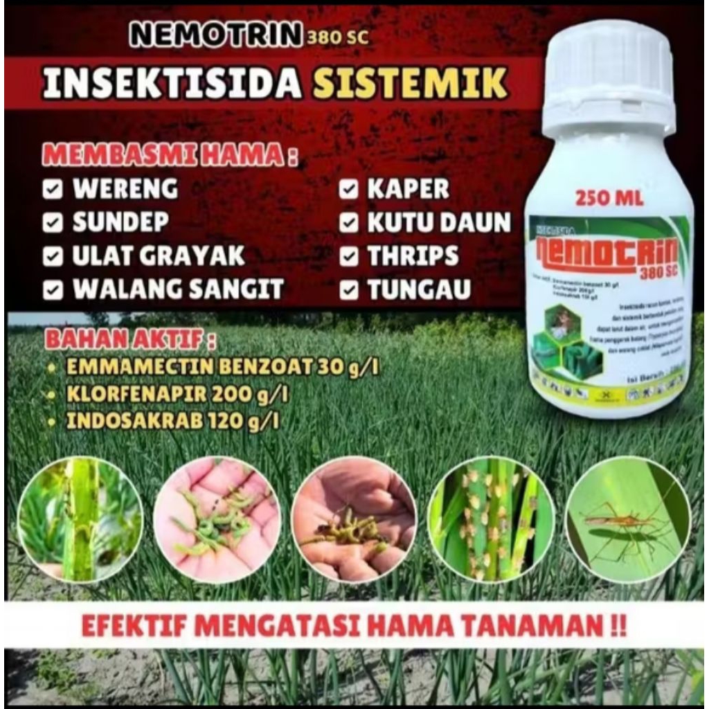 Nemotrin 380 SC 250ml Insektisida Sistemik Terbaik Tumpas Tuntas Hama Padi, Wereng, Ulat Grayak, Tun