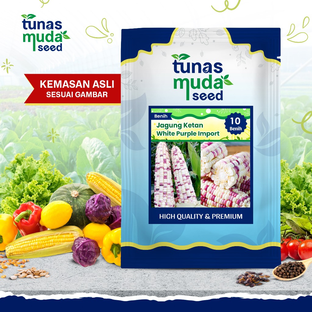 Tunas Muda Benih Jagung Ketan Ungu Putih/Colorful Sticky Corn-IMPORT (10Biji)