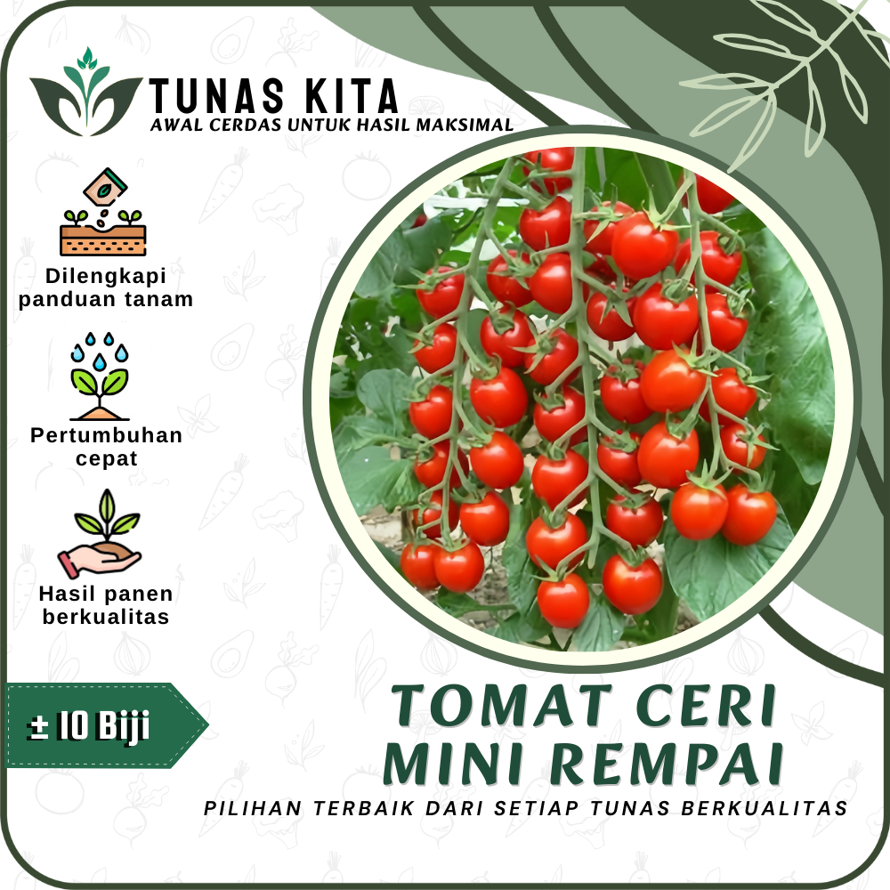 10 Biji - Benih Tomat Ceri Mini Rempai Unggul Tunas Kita - Bibit Sayur Sayuran Tomat Manis Sri tani