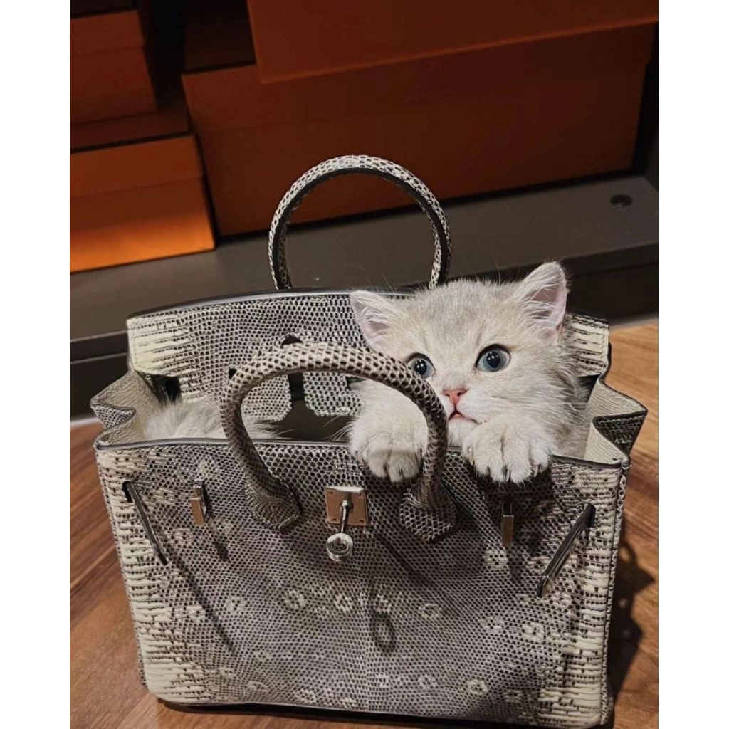 tas pesta cantik mewah