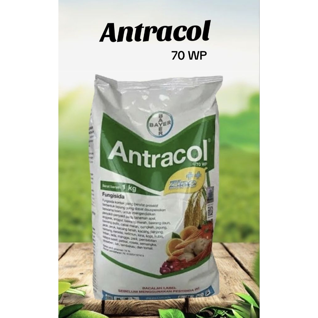 Fungisida Antracol 1kg