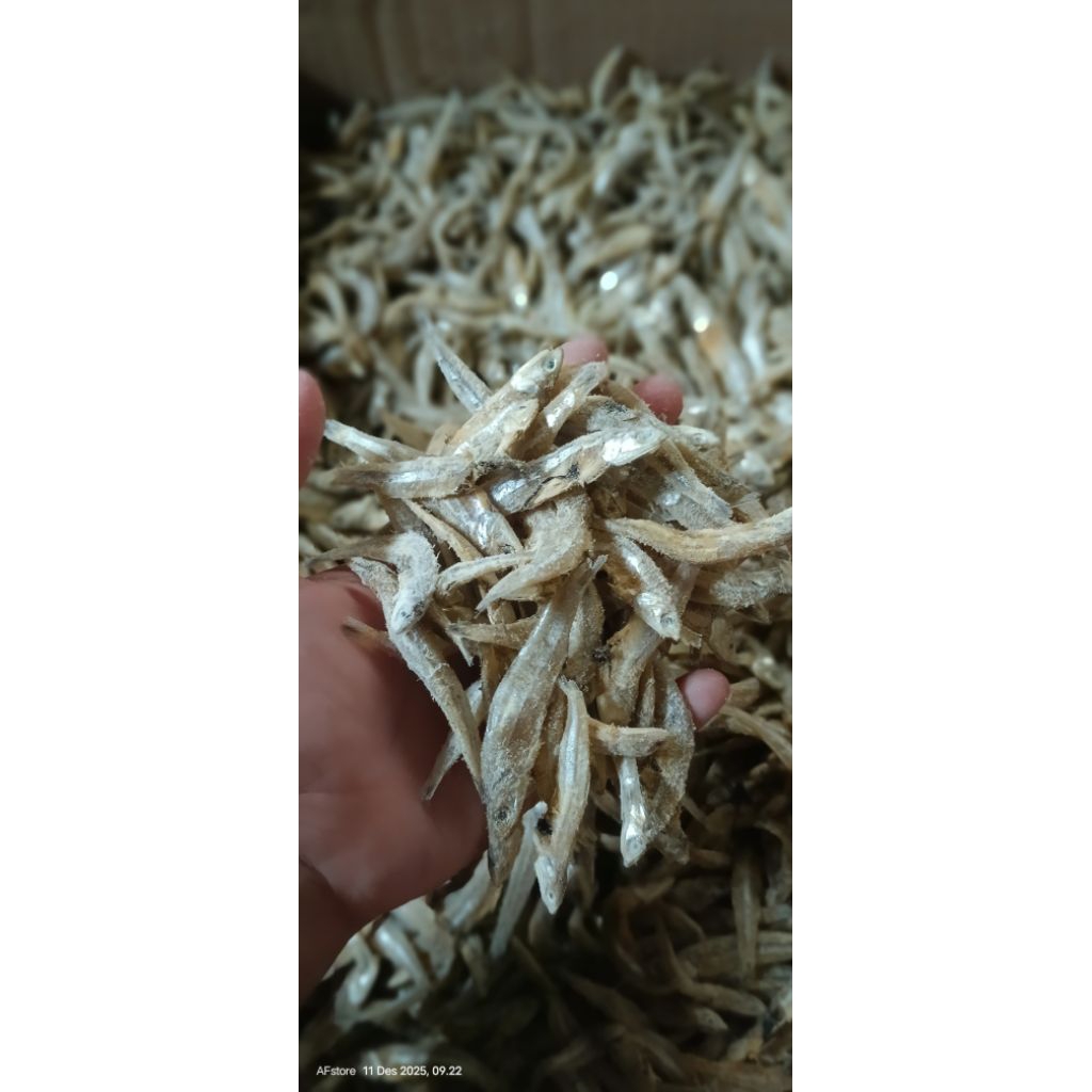 PROMO IKAN ASIN TERI JENGKI 1KG