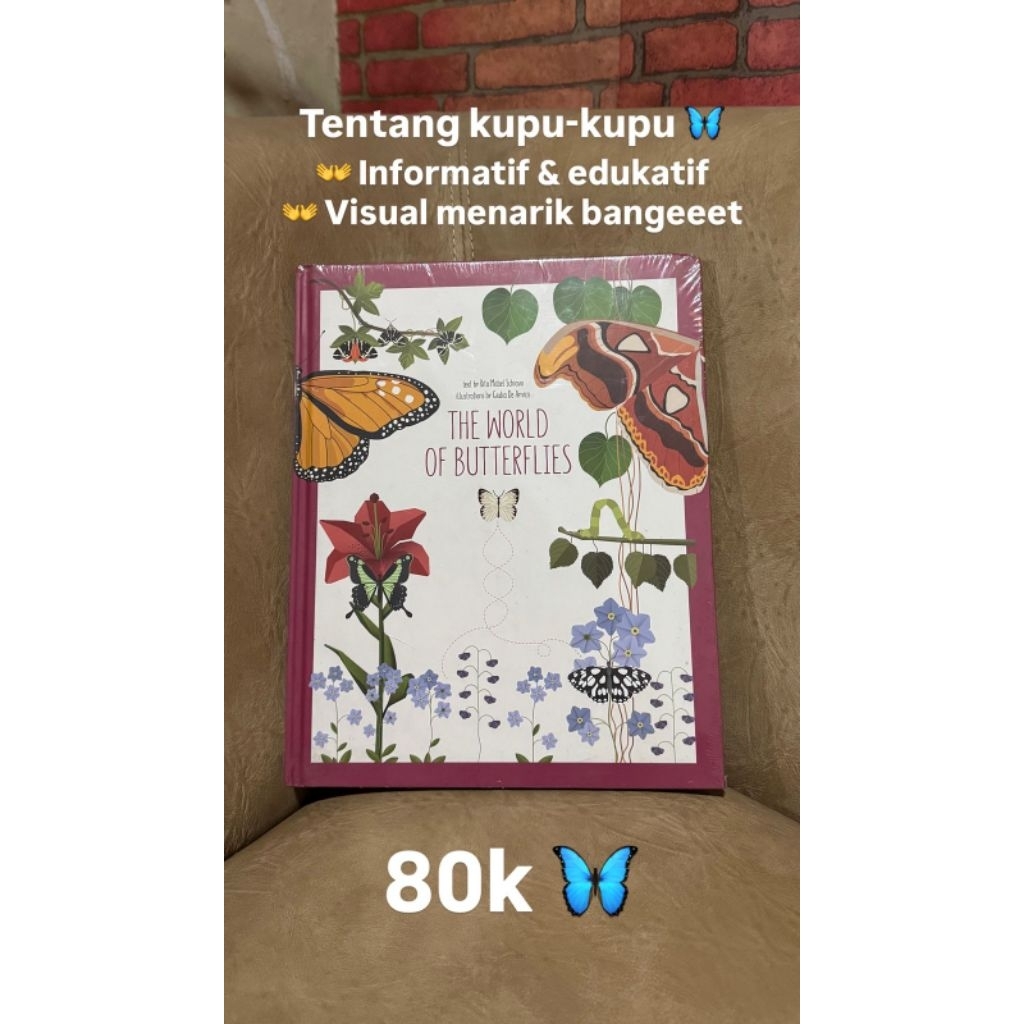 THE WORLD OF BUTTERFLIES BUKU ANAK BERGAMBAR FULL COLOUR