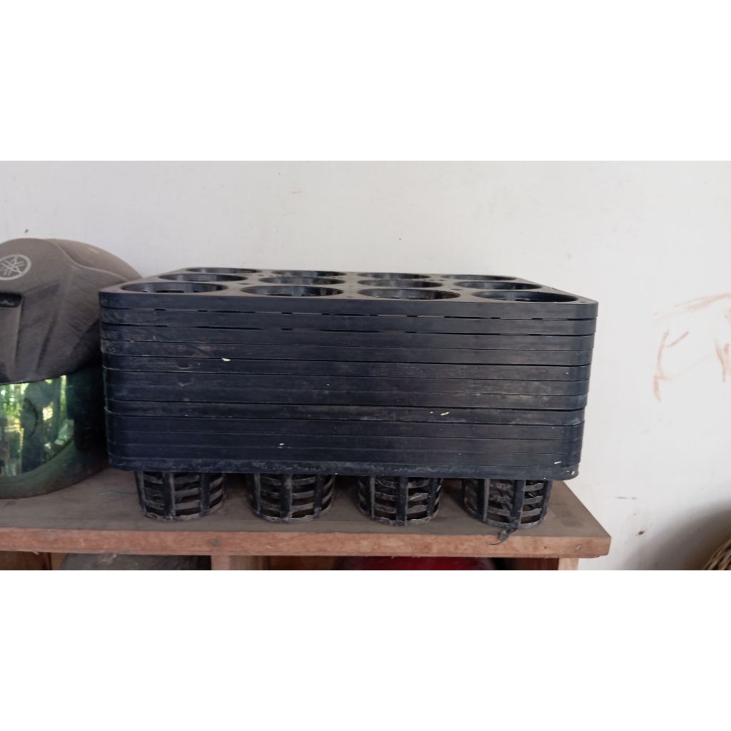 Tray anggrek dewasa second