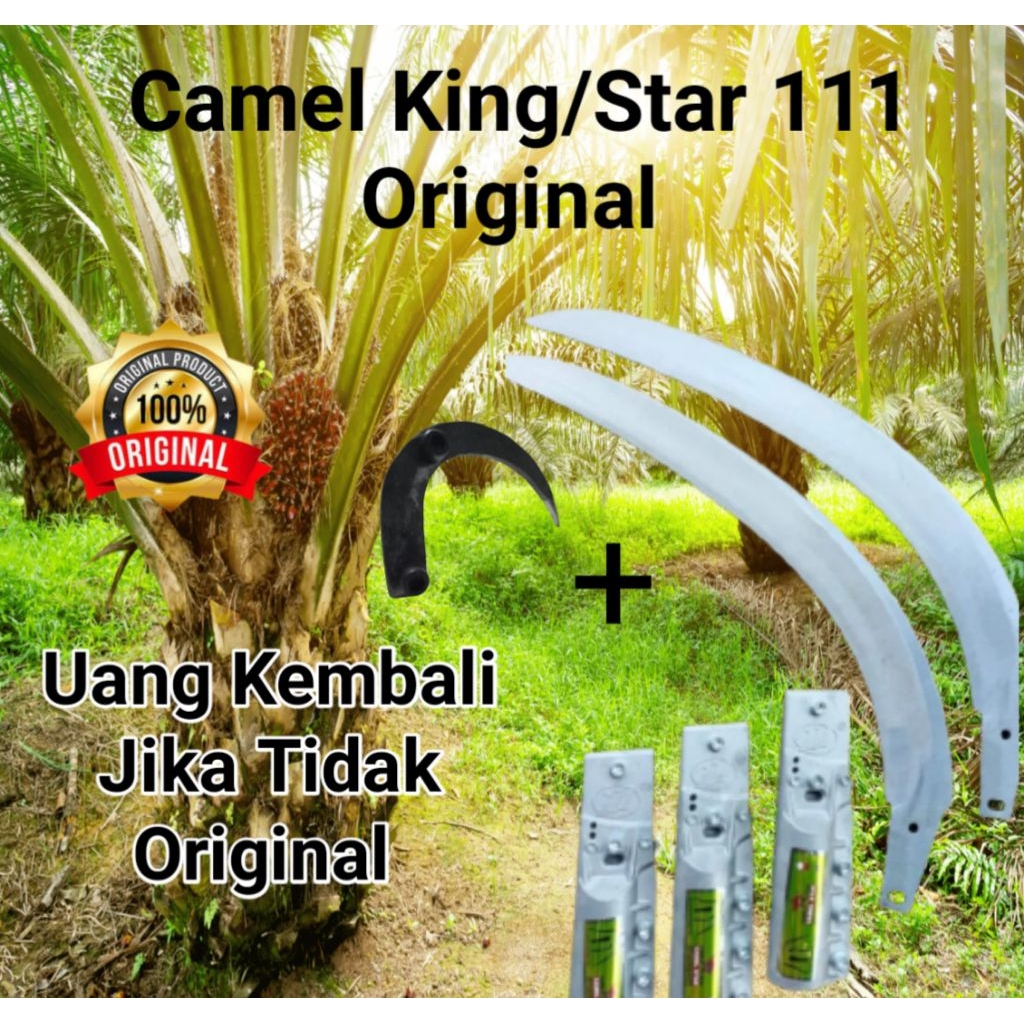 egrek camelking/star 111 original Malaysia tambah jalu