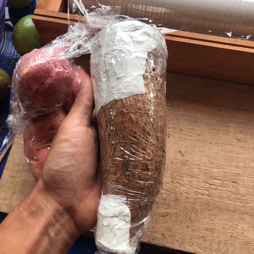 SINGKONG PUTIH PULEN / SINGKONG SEGAR / KETELA POHON