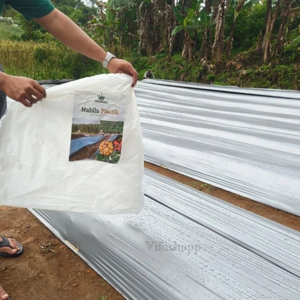 MULSA HITAM PERAK Tanaman Kualitas Super 60/120 cm FREE KAOS + PASAK MULSA 1kg