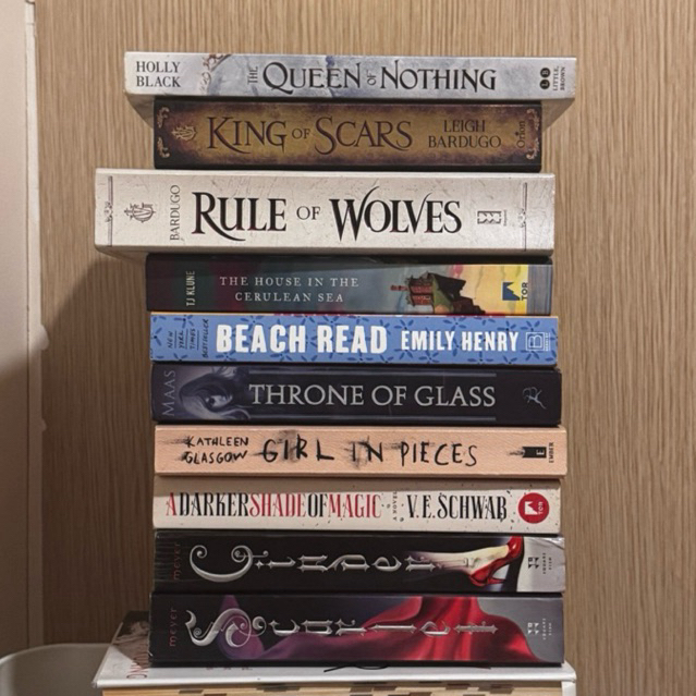 PRELOVED ENGLISH BOOKS - Beach Read The Cruel Prince No Longer Human Throne of Glass King of Scars W