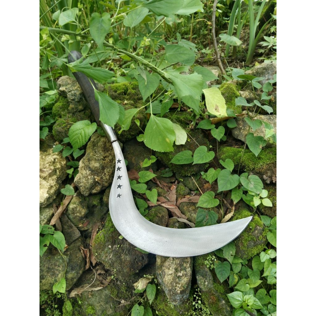 Alat pemangkas arit rumput bintang lima alat berkebun dan taman