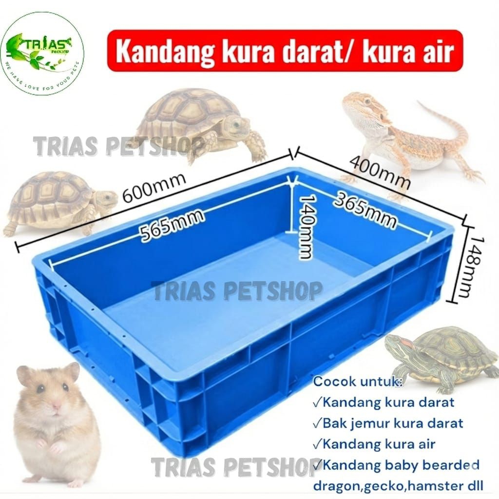 Kandang Kura Darat Box Plastik Tebal – Cocok untuk Sulcata Baby & Reptil Kecil-Kandang Reptil Serbag