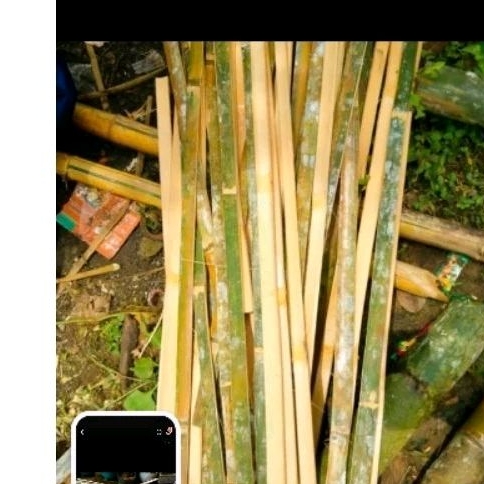 10 batang bambu bilah/ajir 120 cm
