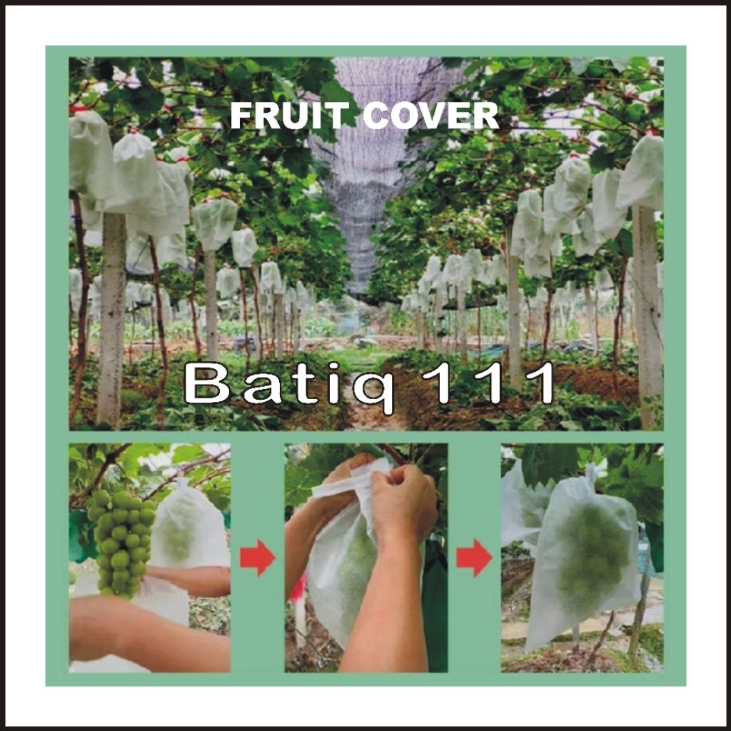 Fruit Cover , Jaring Buah , Brongsong