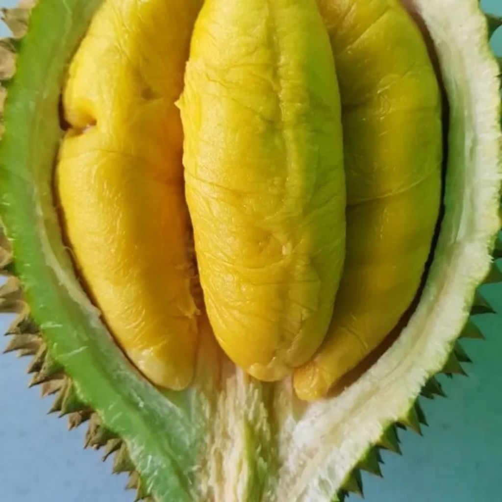 PROMO!!Durian Kupas Monthong Medan Asli 500gr Berkualitas Super 100%Original