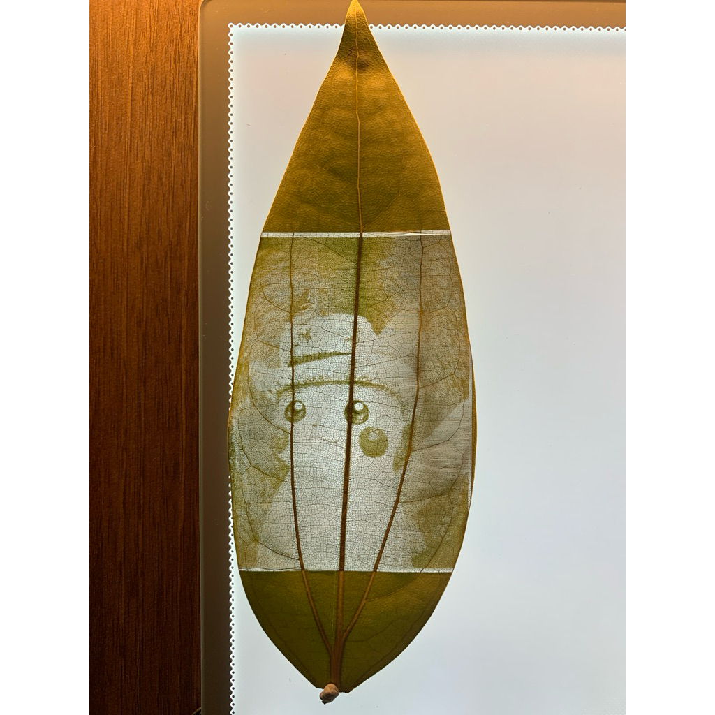 leaf engrave “pikachu van gogh”