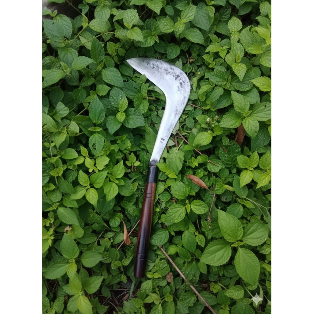 Arit Congkrang Model(KELONTONG) Sabit Baja Asli / Alat Pertanian untuk Memotong Rumput & Padi Rantin