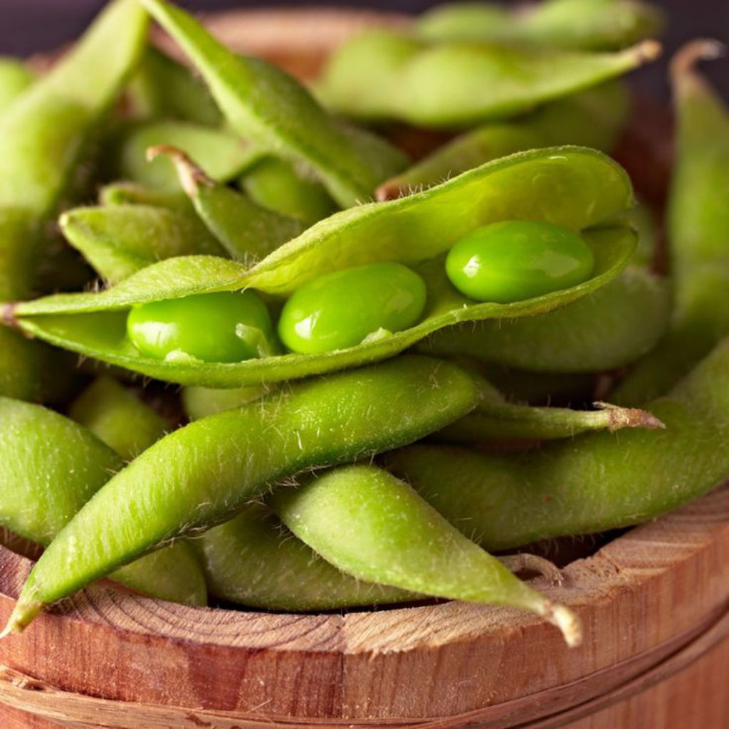 Edamame Fresh Asli Jember (1kg/1000g)