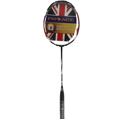 Raket Badminton Pro Ace Evolution 1100 Original Bonus Komplit
