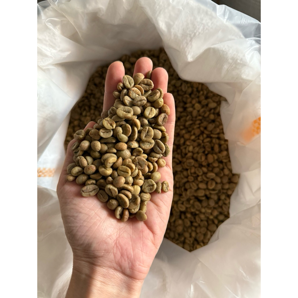 greenbean fine robusta petik merah