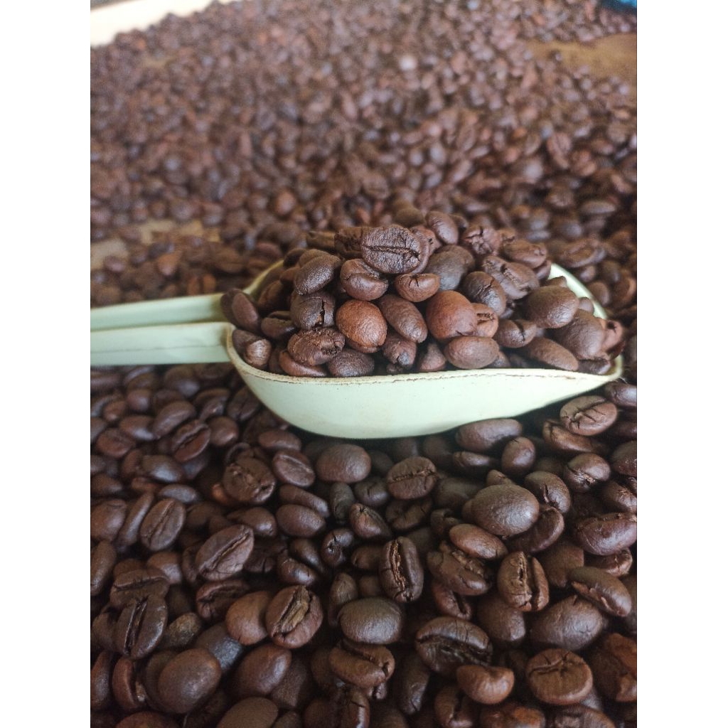 Biji kopi sangrai Robusta lampung murah